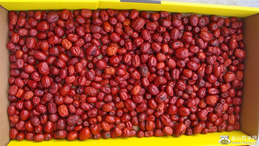 DSC05940 (Large).JPG