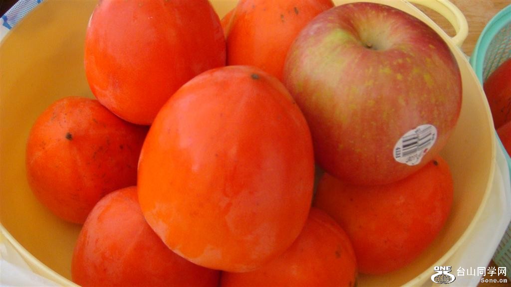 DSC05965 (Large).JPG