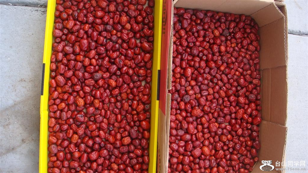 DSC05942 (Large).JPG