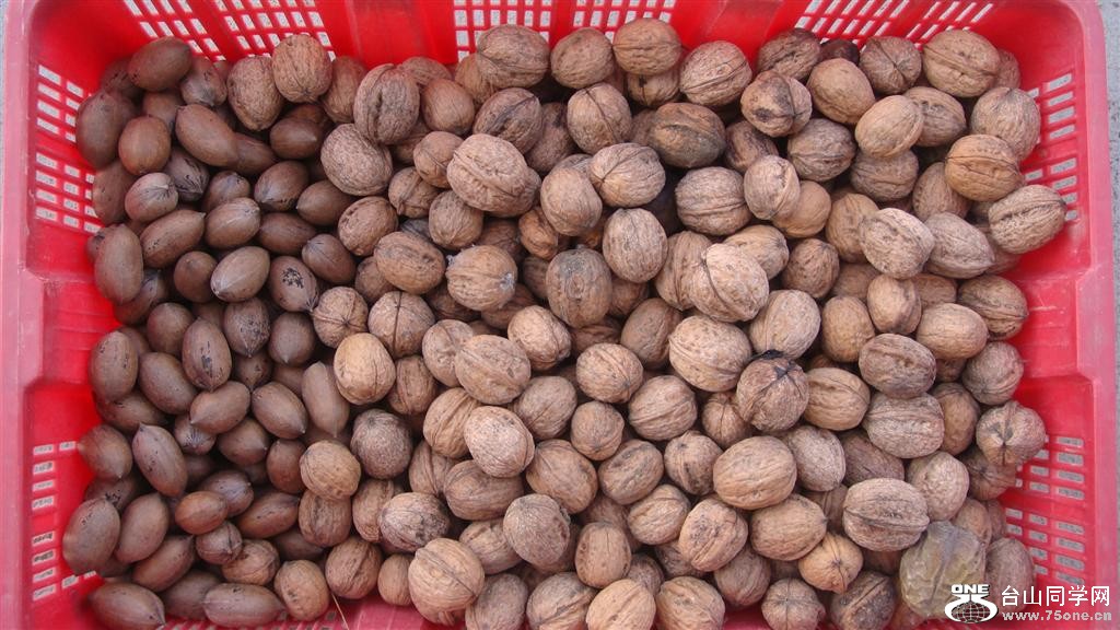 DSC05945 (Large).JPG