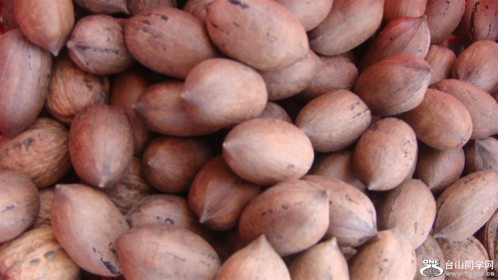 DSC05948 (Large).JPG