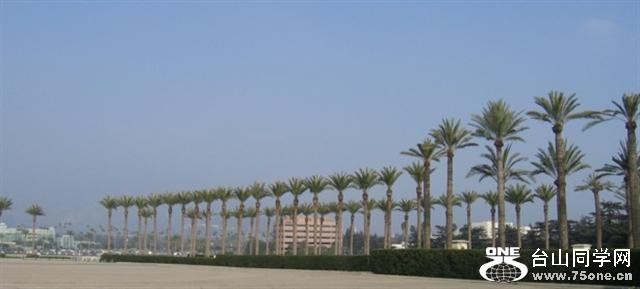 IMG_299333 (Small).jpg