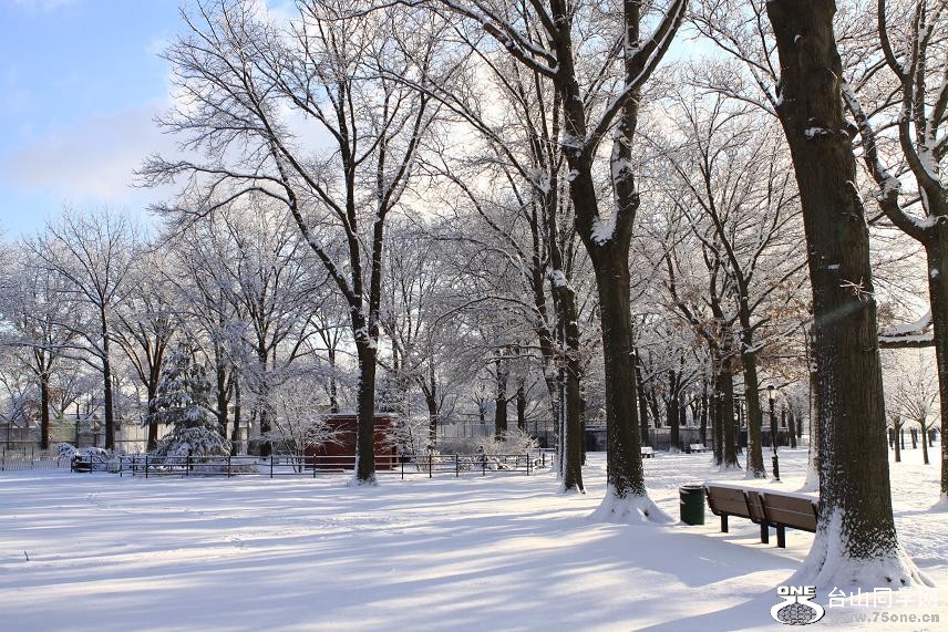 �}�u -IMG_9185.jpg