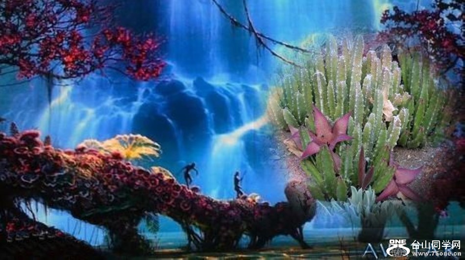 Picture 021-1-1-1.jpg