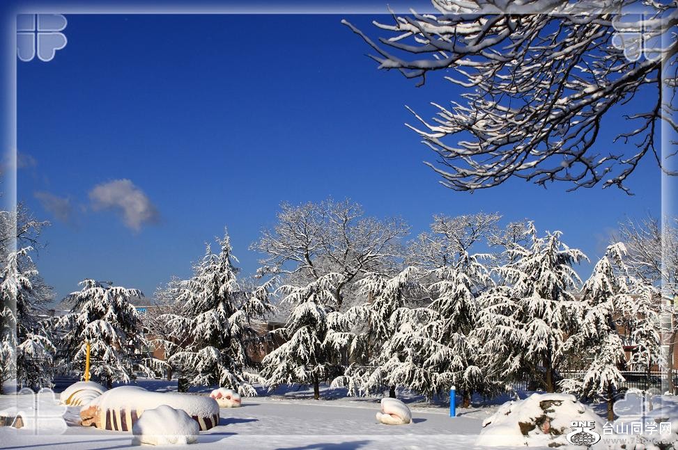 �}�u -IMG_9206aab.jpg