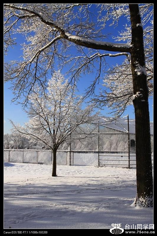 �}�u -IMG_9167aaa.jpg