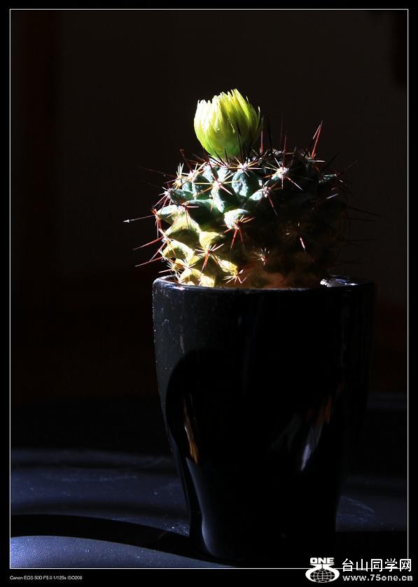 �}�u -�}�u -IMG_90971122.jpg