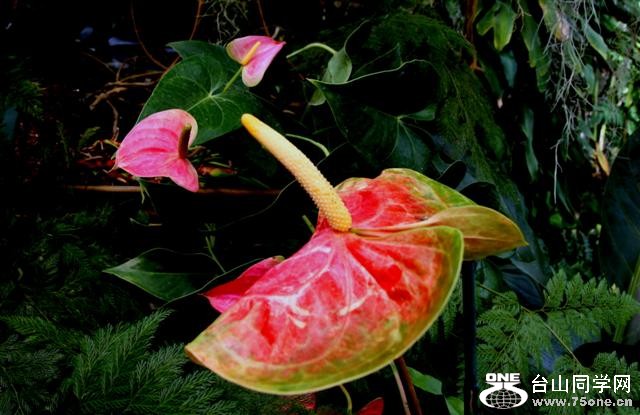 IMG_79388 (Small).jpg