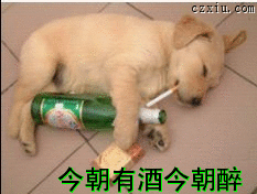473.gif