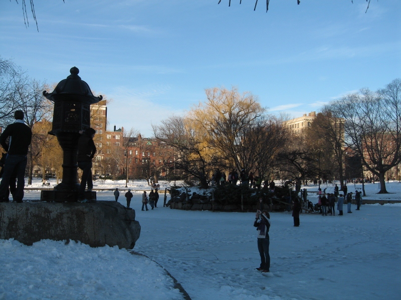 D 052 (800x600).jpg
