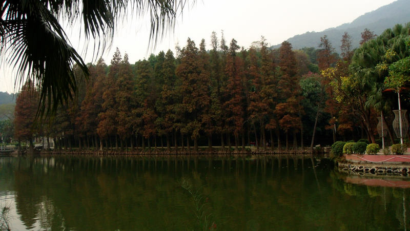 DSC01092.jpg
