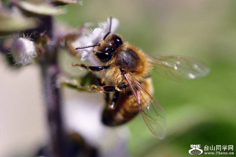 _CSC0837 [800x600].jpg