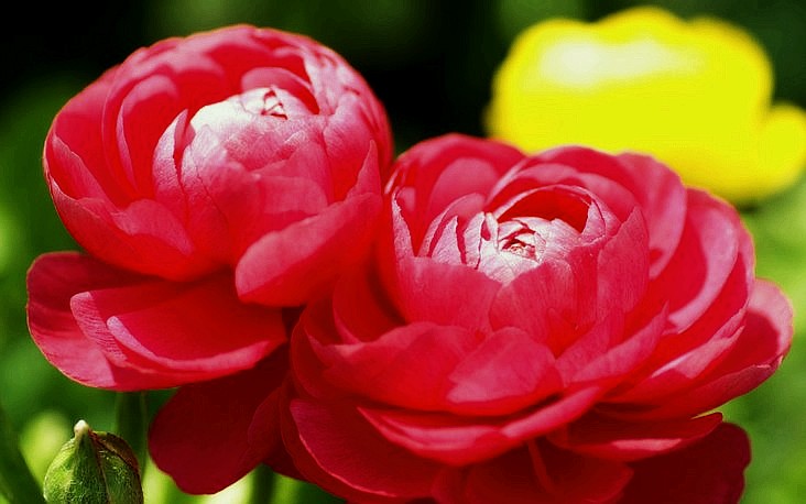 20090626_381fc44c00a68d1684b6W69TW2vt9d2U_conew1.jpg