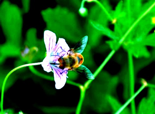 500_2011010113204065675_conew1.jpg