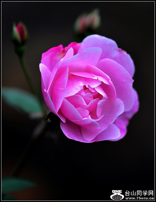 DSC_0689.JPG