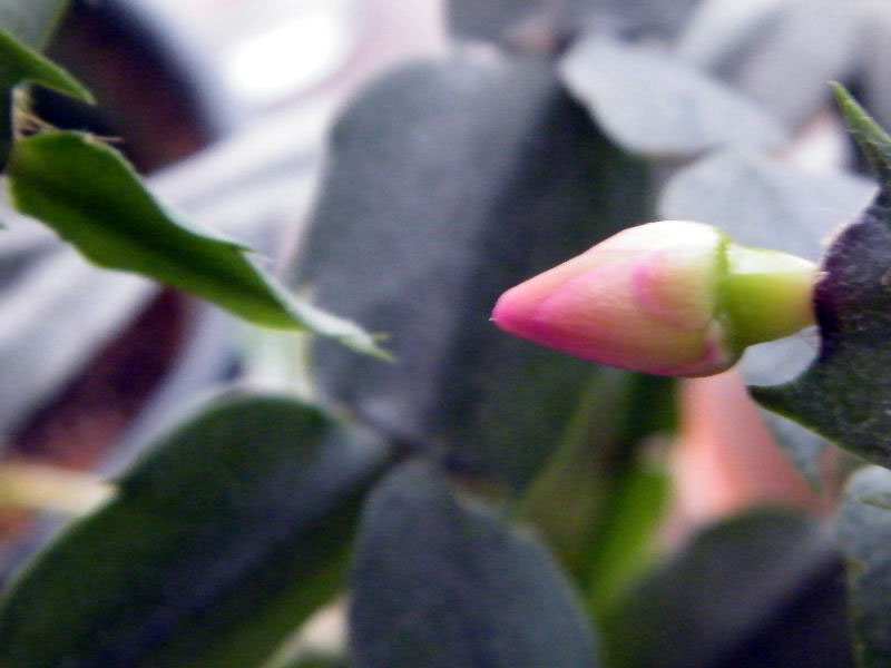 DSCF5970.JPG