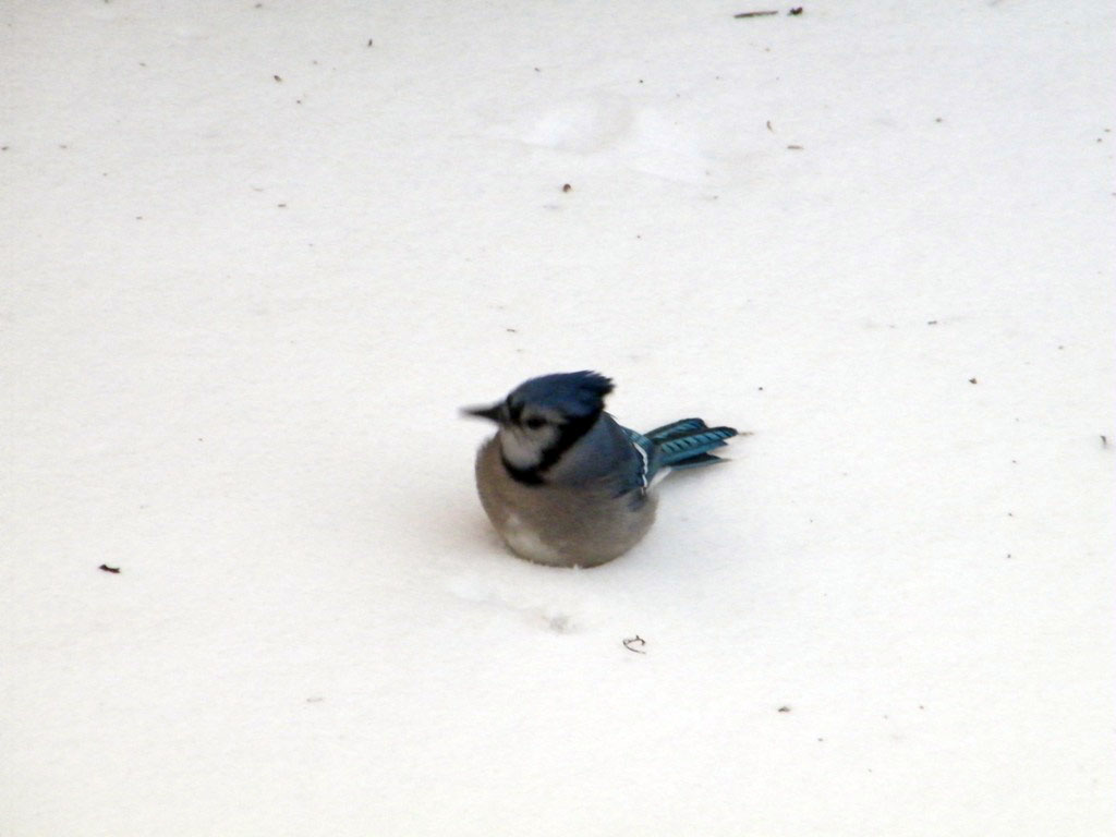 w1.jpg