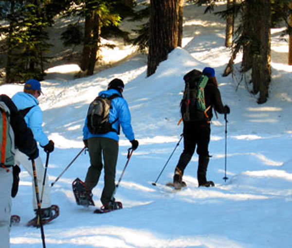 Snowshoe.jpg