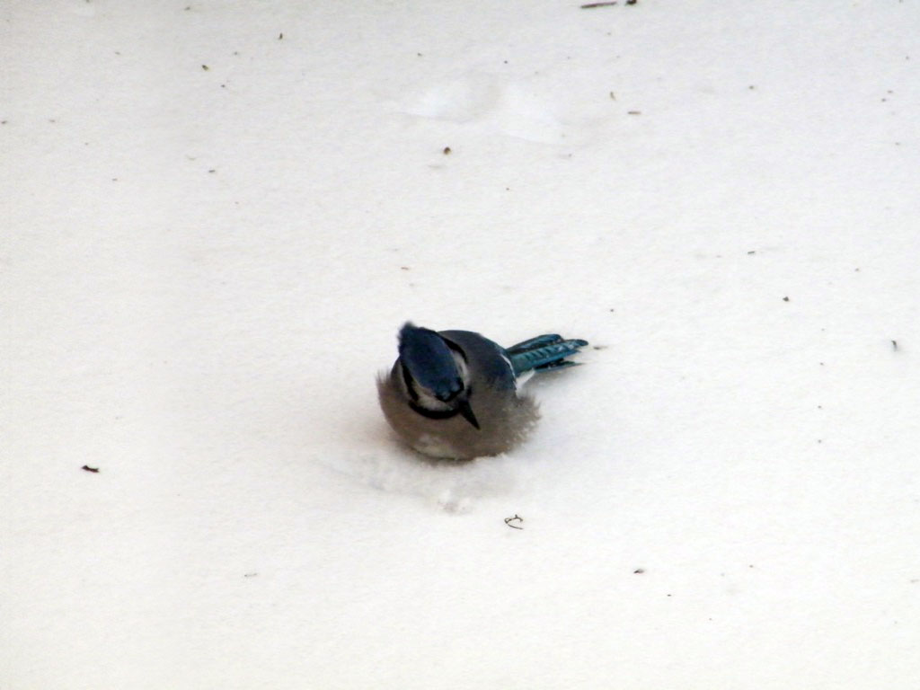 w2.jpg