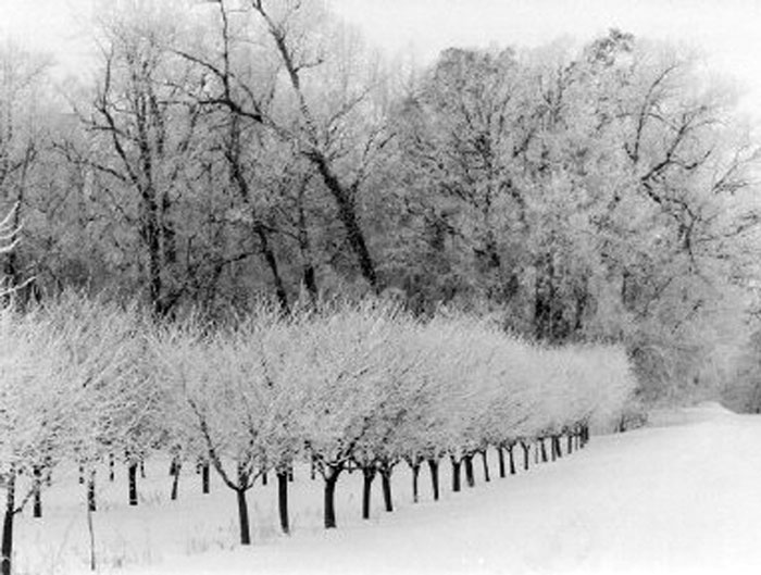Winter=.jpg