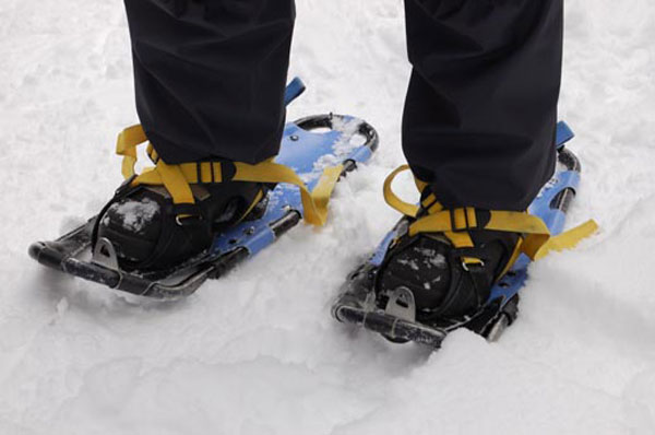 Snowshoes=.jpg