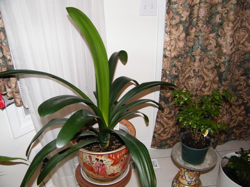 DSCF2196=.jpg