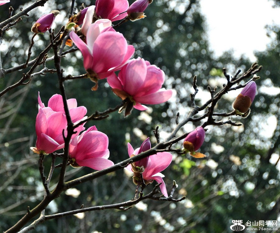 DSC_0579.jpg