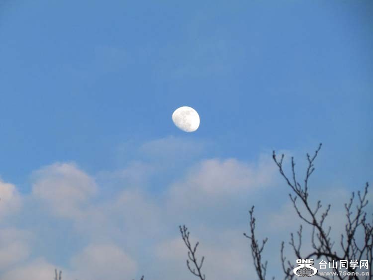 IMG_2043.JPG
