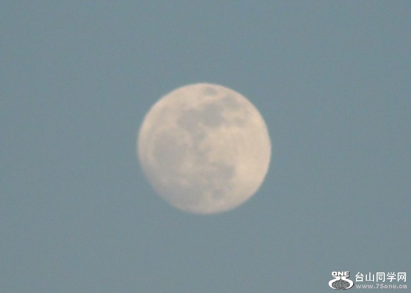2011-02-16008 (800x571).jpg