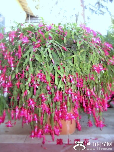 R 004.jpg