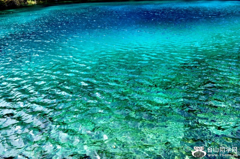 DSC_1324 [800x600] (2).jpg