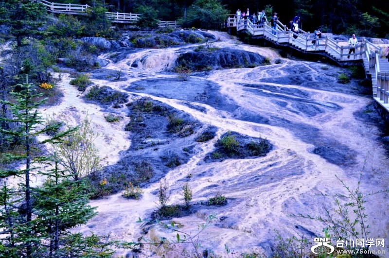 CSC_0688 [800x600] (2).jpg