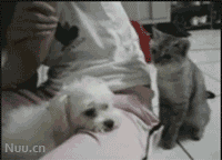 663.gif