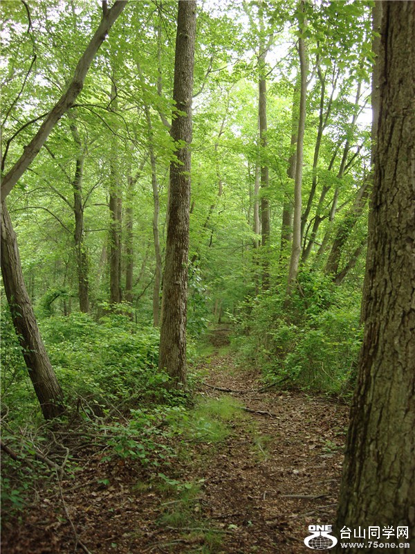 Picture 026_.jpg
