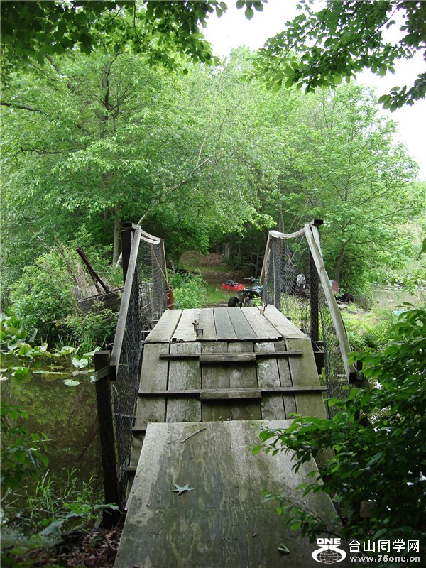 Picture 028_.jpg