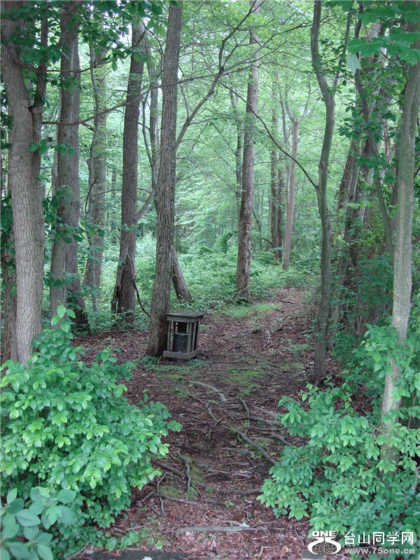 Picture 025_.jpg