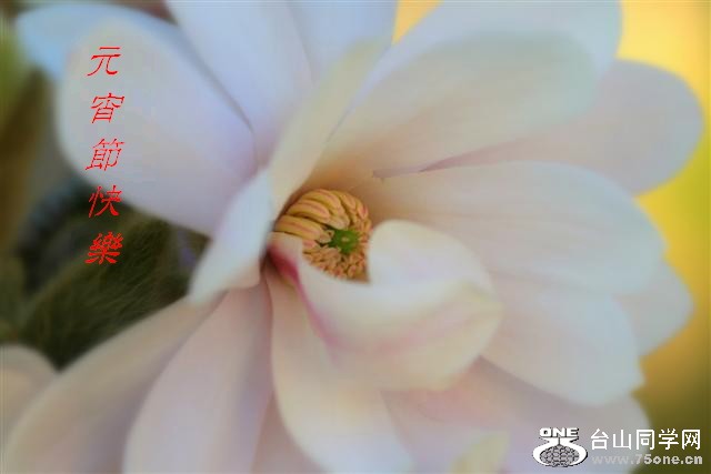 IMG_05655 (Small)1.jpg