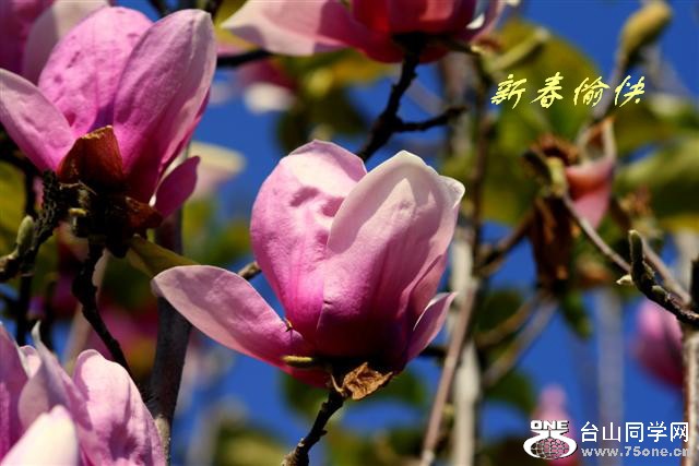 IMG_02911 (Small)1.jpg