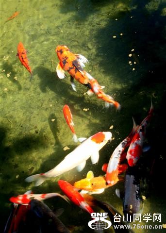 IMG_05188 (Small).jpg