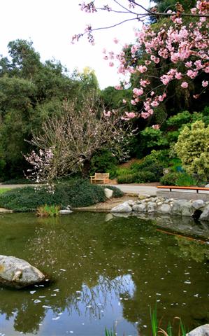 IMG_07566 (Small).jpg