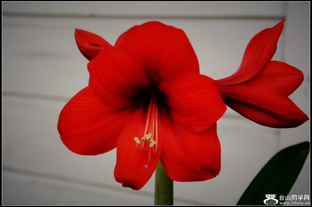 DSC_3038.jpg
