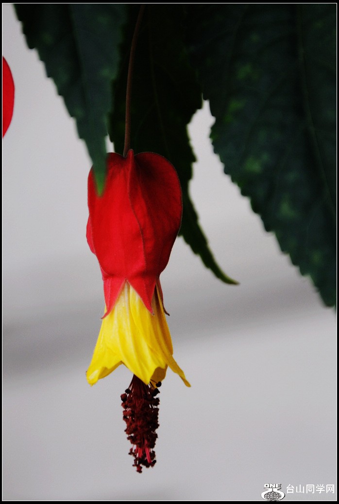 DSC_3046.jpg
