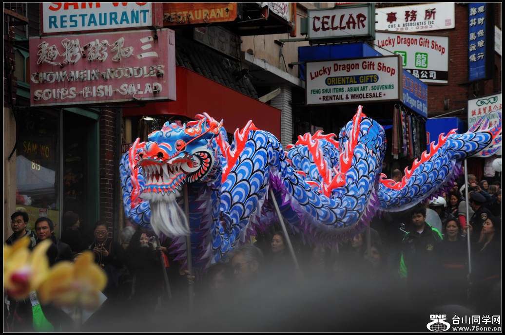 DSC_2982.jpg