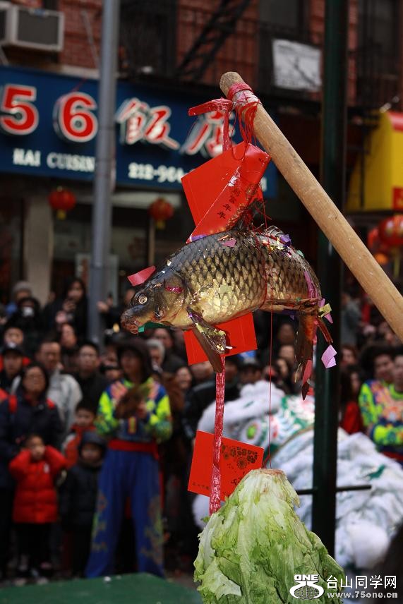 �}�u -IMG_0923.jpg