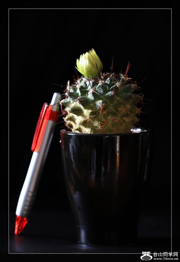 �}�u -IMG_9760ccc.jpg