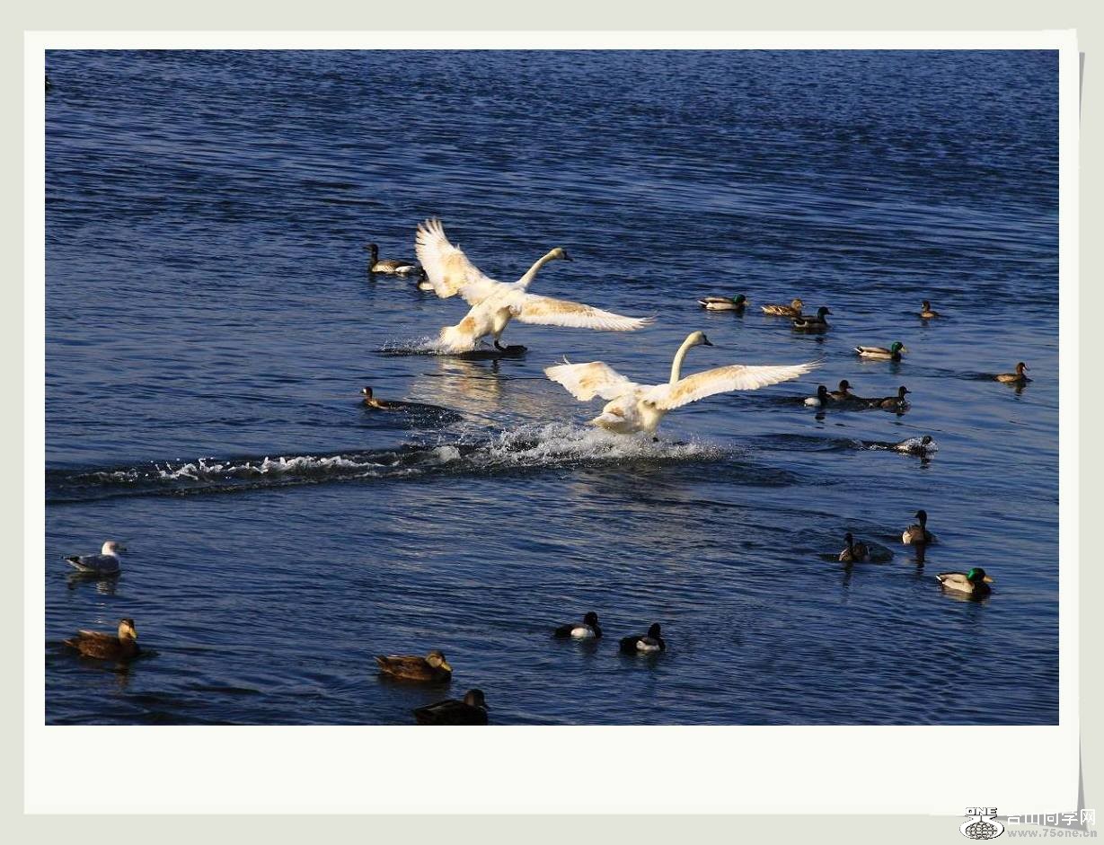 �}�u -�}�u -IMG_1683aaa.jpg