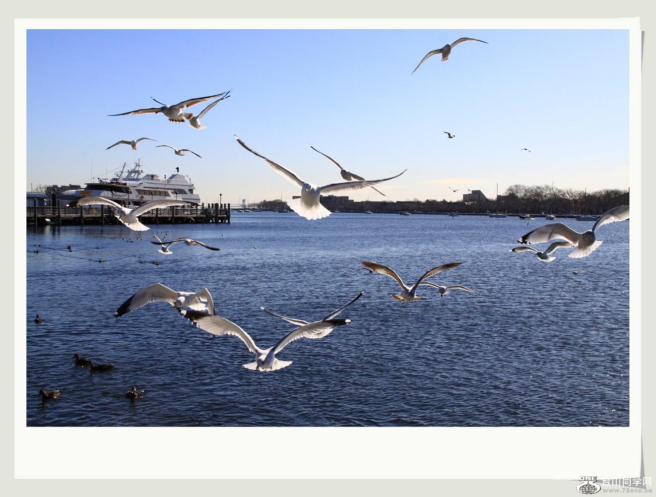 �}�u (2) -IMG_1356cccc.jpg