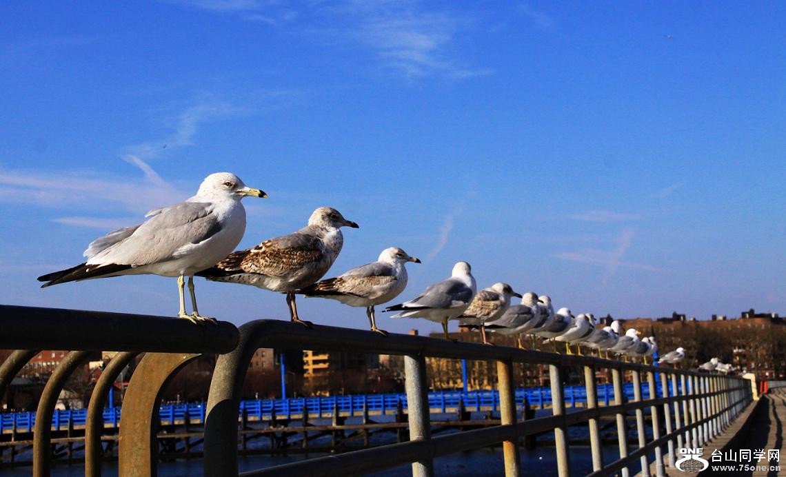 �}�u -�}�u -IMG_1751aa.jpg