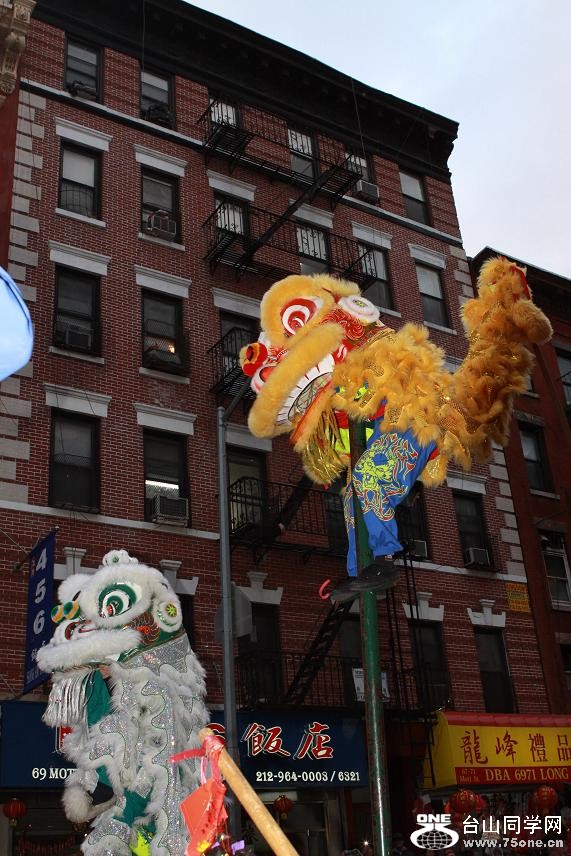 �}�u -IMG_0941.jpg