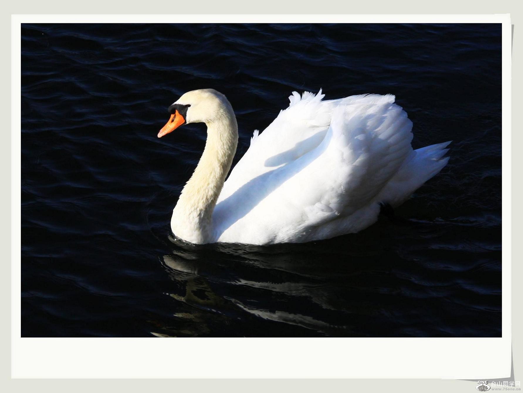 �}�u -�}�u -IMG_1641aa.jpg